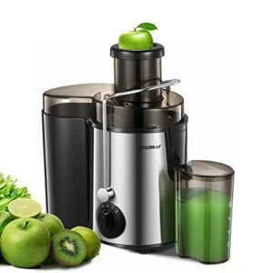 Juicer Machine, HOUSNAT Centrifugal Juicer,Extractor Max Power 800W Juice, 65MM Chute for Whole Fruit and Vegetables, Juice Extractor with 3 Speeds Quick Juicing, Easy to Clean, BPA Free,Silver