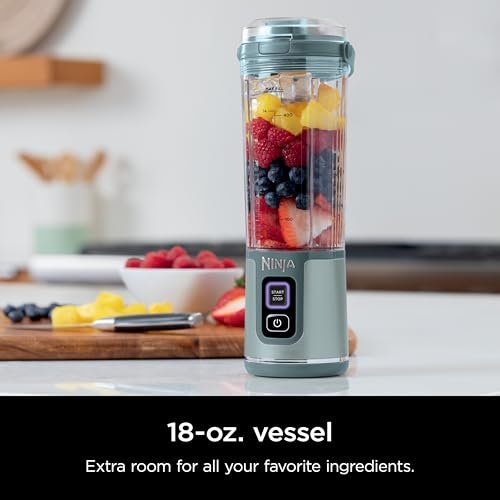 Ninja Blast Portable Blender Review: The Perfect Personal Blender for You - Image 2