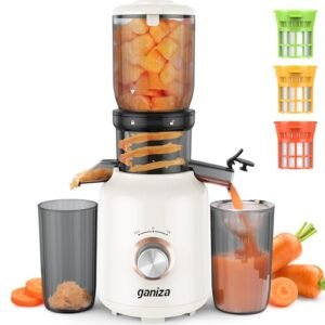 Ganiza Juicer Machines, Cold Press Juicer with Large Feed Chute for Whole Fruits & Vegetables, Slow Masticating juicers with 3 Replace Filters for Batch Juicing, Easy to Clean, BPA Free (White)