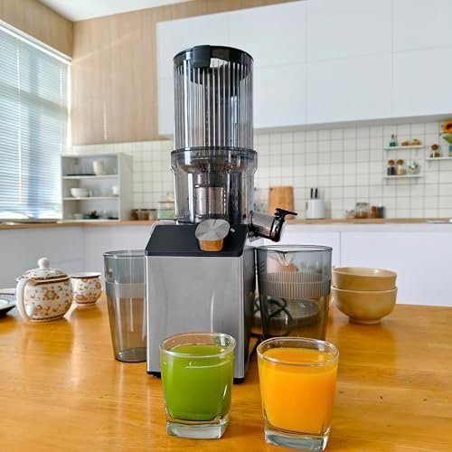 WHUTO Cold Press Juicer Review: The Kitchen Must-Have for Fresh Juice - Image 2