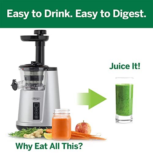 Is the Omega Juicer Cold Press 365 the Ultimate Kitchen Must-Have? - Image 5