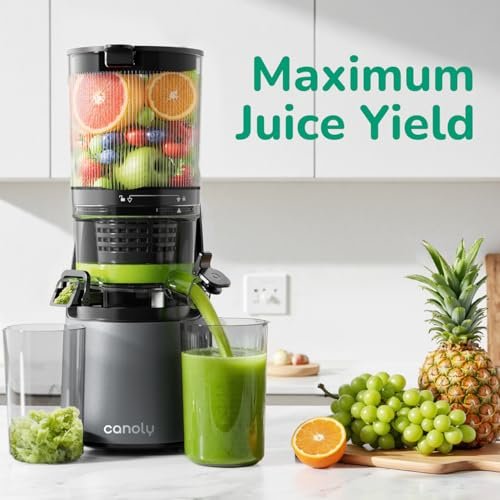 Canoly C16 Cold Press Juicer Review: A Game Changer for Home Cooks - Image 4