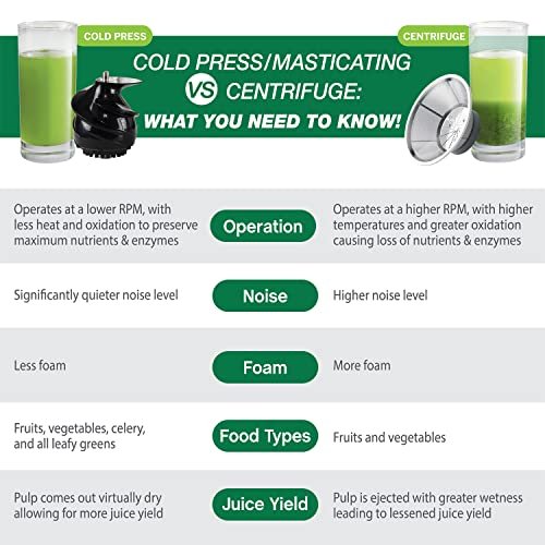 Is the Omega Juicer Cold Press 365 the Ultimate Kitchen Must-Have? - Image 4