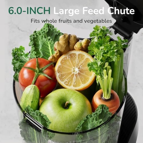 Canoly C16 Cold Press Juicer Review: A Game Changer for Home Cooks - Image 3