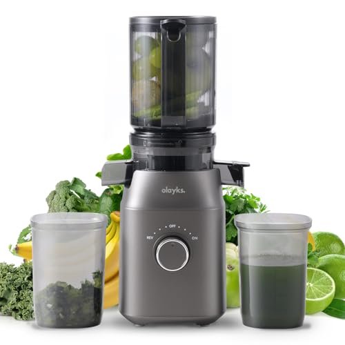 Juicer Machines, Cold Press Juicer for Fruit and Vegetable, Masticating Machine with Juice Recipe, Self Feeding Effortless for Batch Juicing,Easy to Clean,High Juice Yield