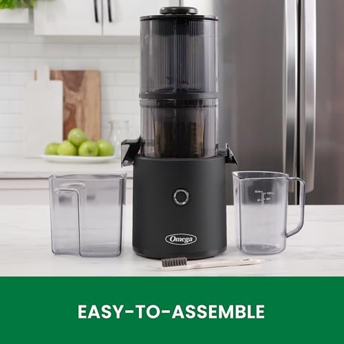 Discover the Omega Effortless Batch Cold Press Juicer - Is It Worth It? - Image 3