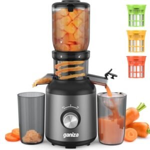 Ganiza Juicer Machines, Cold Press Juicer with Large Feed Chute for Whole Fruits & Vegetables, Slow Masticating juicers with 3 Replace Filters for Batch Juicing, Easy to Clean, BPA Free (Black)