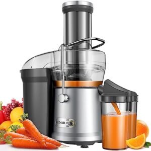 GDOR Powerful 1200W Juicer Machine, 3.2" Wide Chute, Titanium-Enhanced Blade, Heavy-Duty Copper Motor, Dual Speed Centrifugal Juice Extractor, BPA-Free, Silver